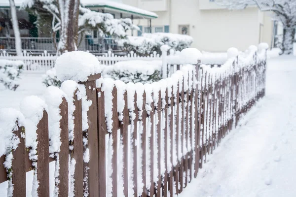 Natte Sneeuw Bedekken Omheinde Voortuin Struiken Michigan Winterweer — Stockfoto