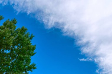 Michigan 'da kısmen Bulutlu Yaz Gökyüzü