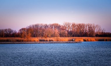 Detroit Nehri adasının siyah beyaz manzarası