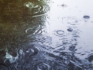 Su birikintisinde dalgalar ve yağmur damlalarıyla.