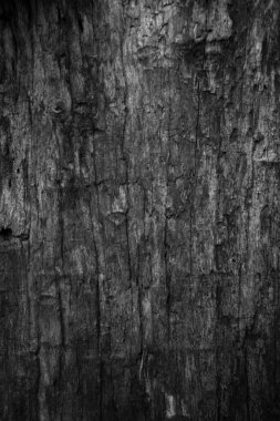 Soyut tahta yüzey arkaplanını kapat