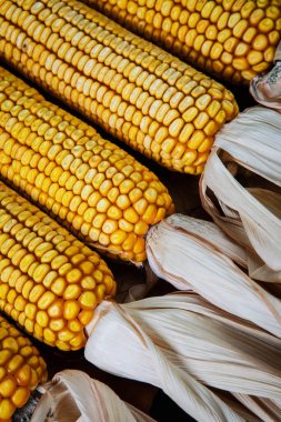 Mısır koçanda soyulmuş, masada.