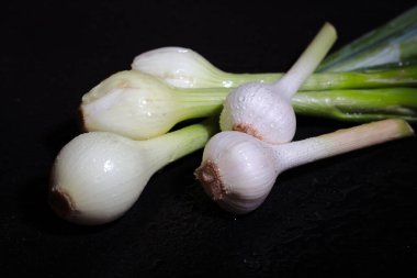 Stüdyoda siyah arka planda bitkilerle genç sarımsak.