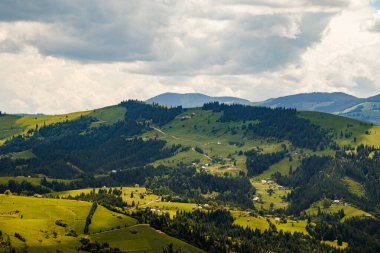 Ukrayna 'nın çayırları ve tarlaları