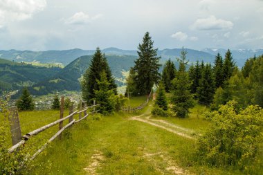 fields and meadows of Ukraine