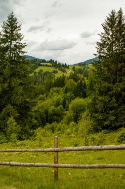 fields and meadows of Ukraine