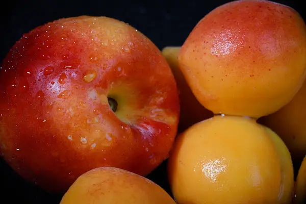 Stock image delicious homemade apricots in the studio