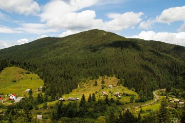 Ukrayna 'nın çayırları ve tarlaları