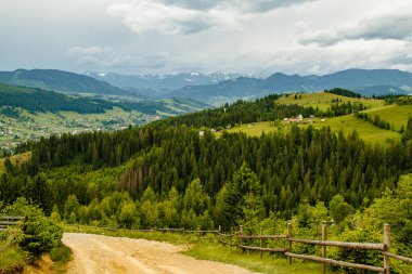 Ukrayna 'nın çayırları ve tarlaları
