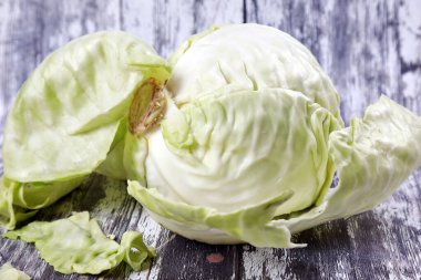 Stüdyoda taze lahana 