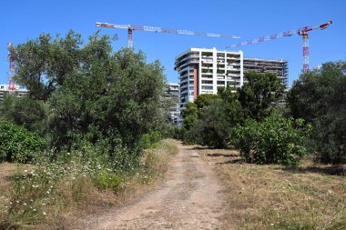 Konut inşaatı için doğal manzara kayboluyor. İtalya 'nın Apulia bölgesinin Bari başkenti yakınlarındaki yeni apartman komplekslerinin inşaat sahasının arkasındaki eski zeytinlikler boyunca asfaltsız yol.