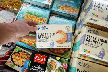 GERMANY - Nisan 2024: Müşteri bir süpermarketin dondurucusundan bir paket donmuş Kara Kaplan karidesi seçti.