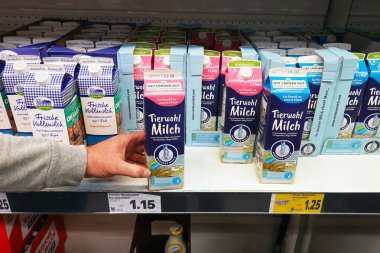 GERMANY - APRIL 2024: Consumer chooses Animal welfare Meadow milk, liter packaging, produced in the German northern region, in a Kaufland Hypermarket. clipart
