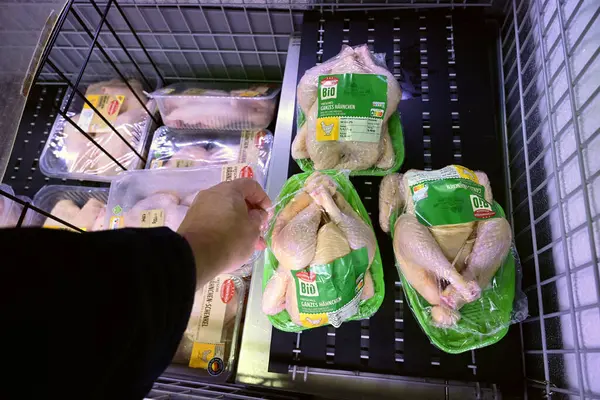 ALMANY - MAYIS 2025: Bir Alman Lidl süpermarketinin soğutulmuş bölümünde paketlenmiş bir Biyoloji etiketi seçen tüketici.