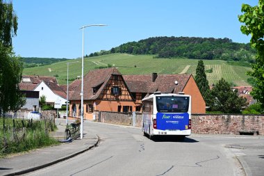 WESTHOFFEN, ALSACE, FRANCE - Mayıs 2025: Fluo Grand Est taşımacılık şirketinin toplu taşıma otobüsü Alsace 'ın şarap yetiştiren bölgesindeki Westhoffen köyünden geçiyor.