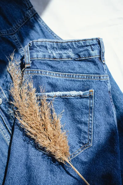 Jeans Dried Grass Jeans Dried Grass White Background — Stock Photo, Image