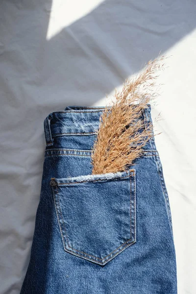 Jeans Dried Grass Jeans Dried Grass White Background — Stock Photo, Image