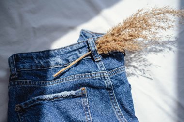 Kot pantolonun cebindeki kuru çimenler, klasik tarz fotoğraf.