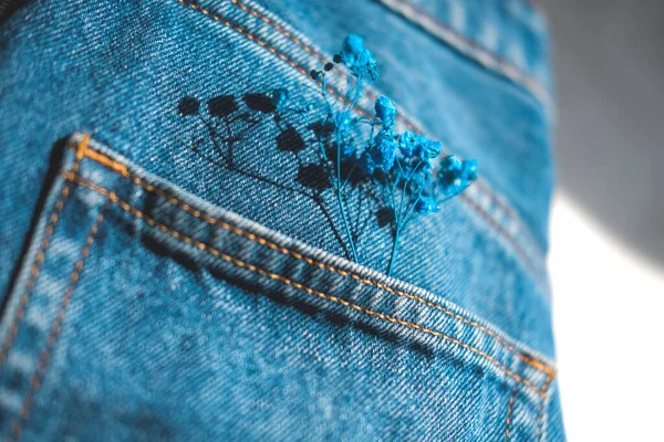 Blue Dried Flowers Jeans Background Denim Jeans Fabric Texture Jeans — Stock Photo, Image