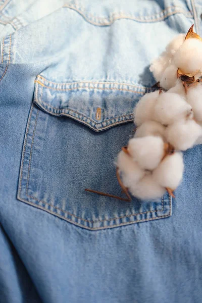 Cotton flowers in the pocket of a denim jacket