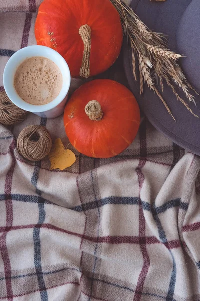 Cozy autumn still life. Cup of coffee, knitted plaid, pumpkins and autumn leaves on white wooden background.