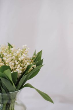 Beyaz arka planda bir vazo dolusu vadi çiçeği