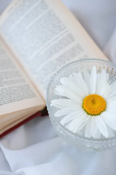 stock image White chamomile in a glass vase on a book