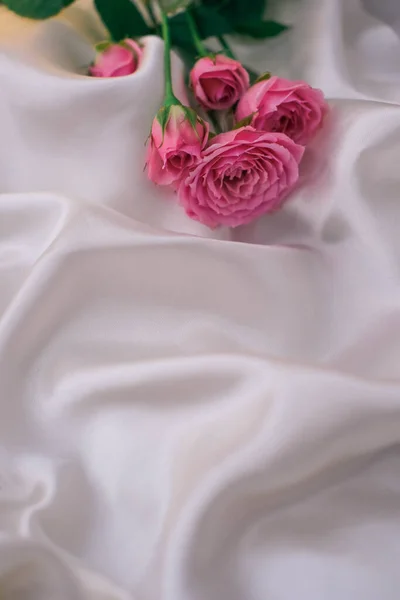 stock image Pink roses on white satin fabric as background. Soft focus.