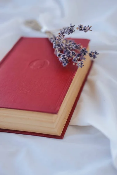 Dried Lavender Flowers Red Book White Fabric — Stock Photo, Image