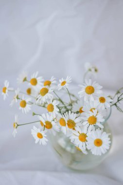 Beyaz kumaş arka planda cam vazoda papatya çiçekleri