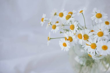 Beyaz kumaş arka planda cam vazoda papatya çiçekleri