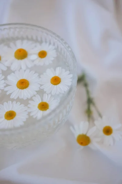 stock image Chamomile flowers in a glass bowl on white fabric background