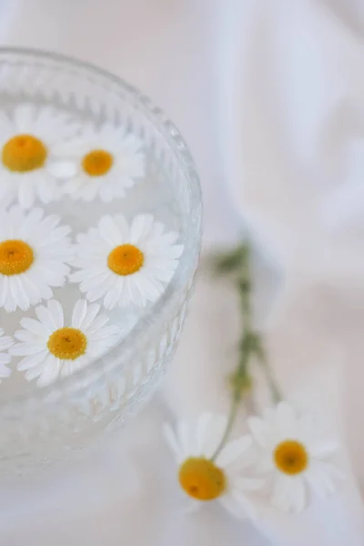 stock image Chamomile flowers in a glass bowl on white fabric background