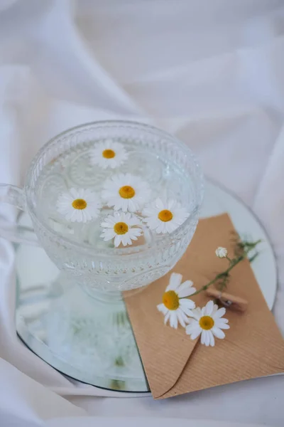Chamomile Flowers Glass Vase White Background — Stock Photo, Image