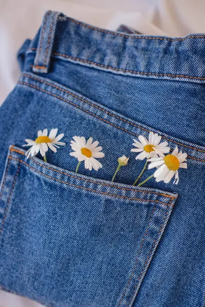 Jeans Pocket Daisies White Background — Stock Photo, Image