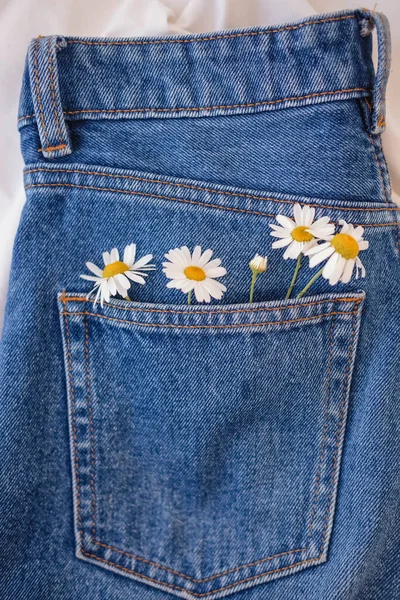 Jeans Tasche Mit Gänseblümchen Auf Weißem Hintergrund — Stockfoto