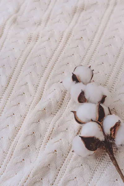 Beyaz örülmüş arka planda pamuk çiçekleri