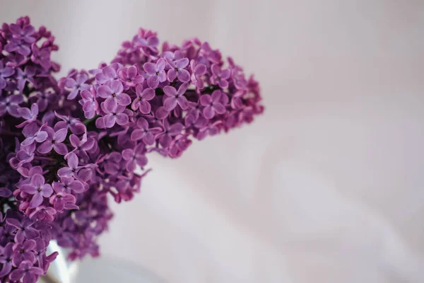 Ayna arka planında bir demet leylak çiçeği.