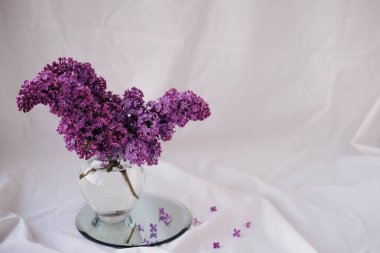 Beyaz arka planda cam vazoda bir demet leylak çiçeği.