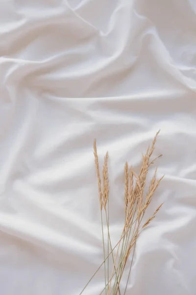 stock image Spikelets of grass on a white satin fabric background.