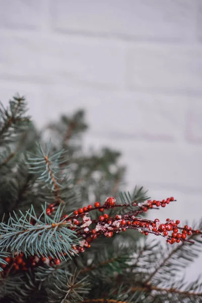 Beyaz tuğlalı arka planda kırmızı böğürtlenli Noel ağacı dalı.