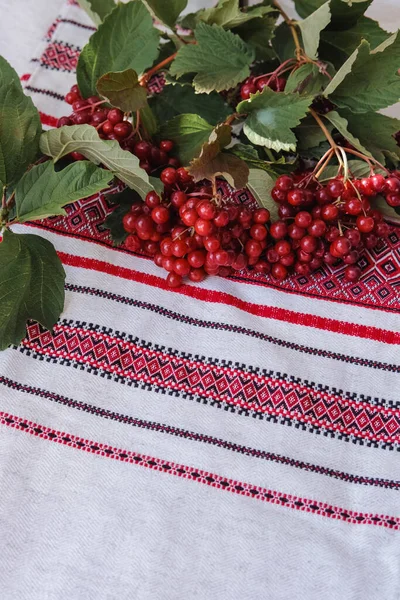 Arka planda keten bir masa örtüsünün üzerinde kırmızı viburnum meyveleri var.