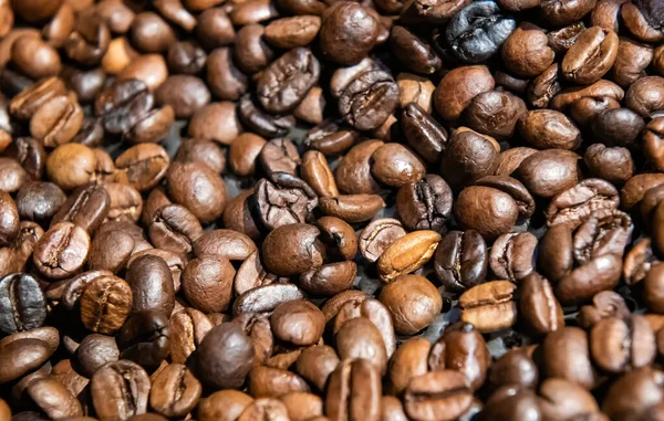 Lot of coffee beans background