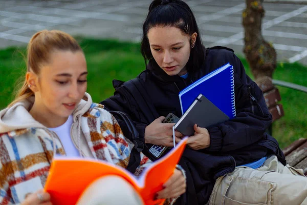 Sınavdan Önce Sarışın Bir Kız Öğrenci Stil Yapıyor Esmer Arkadaşının — Stok fotoğraf