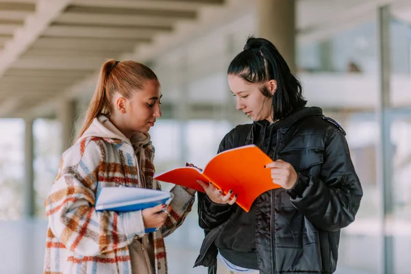 Sarışın Bir Lise Öğrencisi Sorunun Çözümünü Arkadaşına Açıklamaya Çalışıyor Defterini — Stok fotoğraf