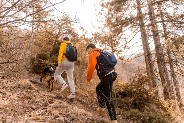 Geweldige Knappe Mannelijke Vrienden Wandelen Het Bos Met Hun Hond — Stockfoto