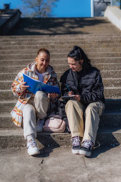 Liseli Kız Arkadaş Güneşli Bir Günde Birlikte Ödevlerini Yapıyorlar — Stok fotoğraf