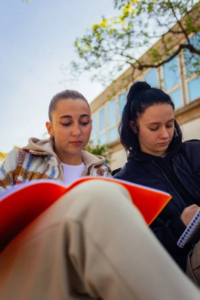 High School Bästa Vänner Studerar Tillsammans Medan Sitter Bänk — Stockfoto