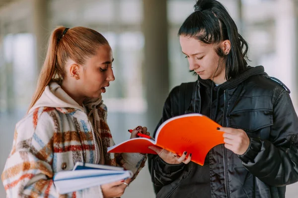 ブロンドの高校生は彼女の友人に問題の解決策を説明しようとしています 彼女はノートを指している — ストック写真