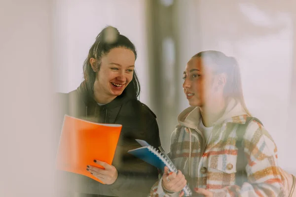 Dos Chicas Secundaria Están Sonriendo Mientras Tienen Una Conversación Divertida —  Fotos de Stock